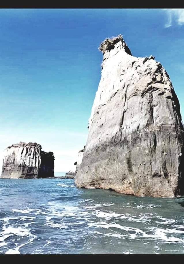 The Hole In The Rock Yurt Hotel Cape Foulwind Ngoại thất bức ảnh